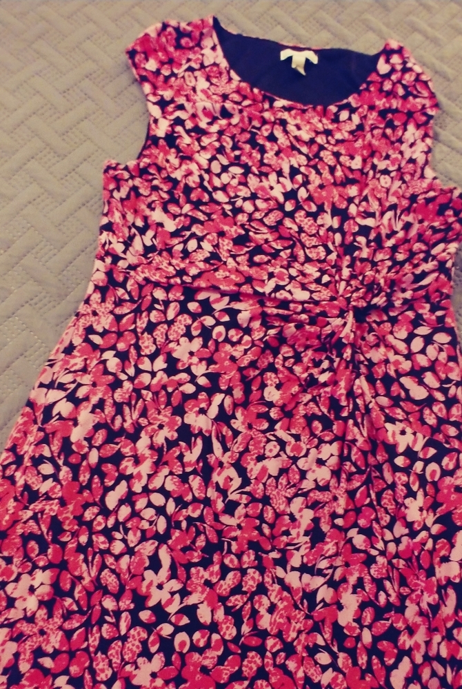 Dana Buchman Dress